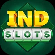 Indslots game preview image